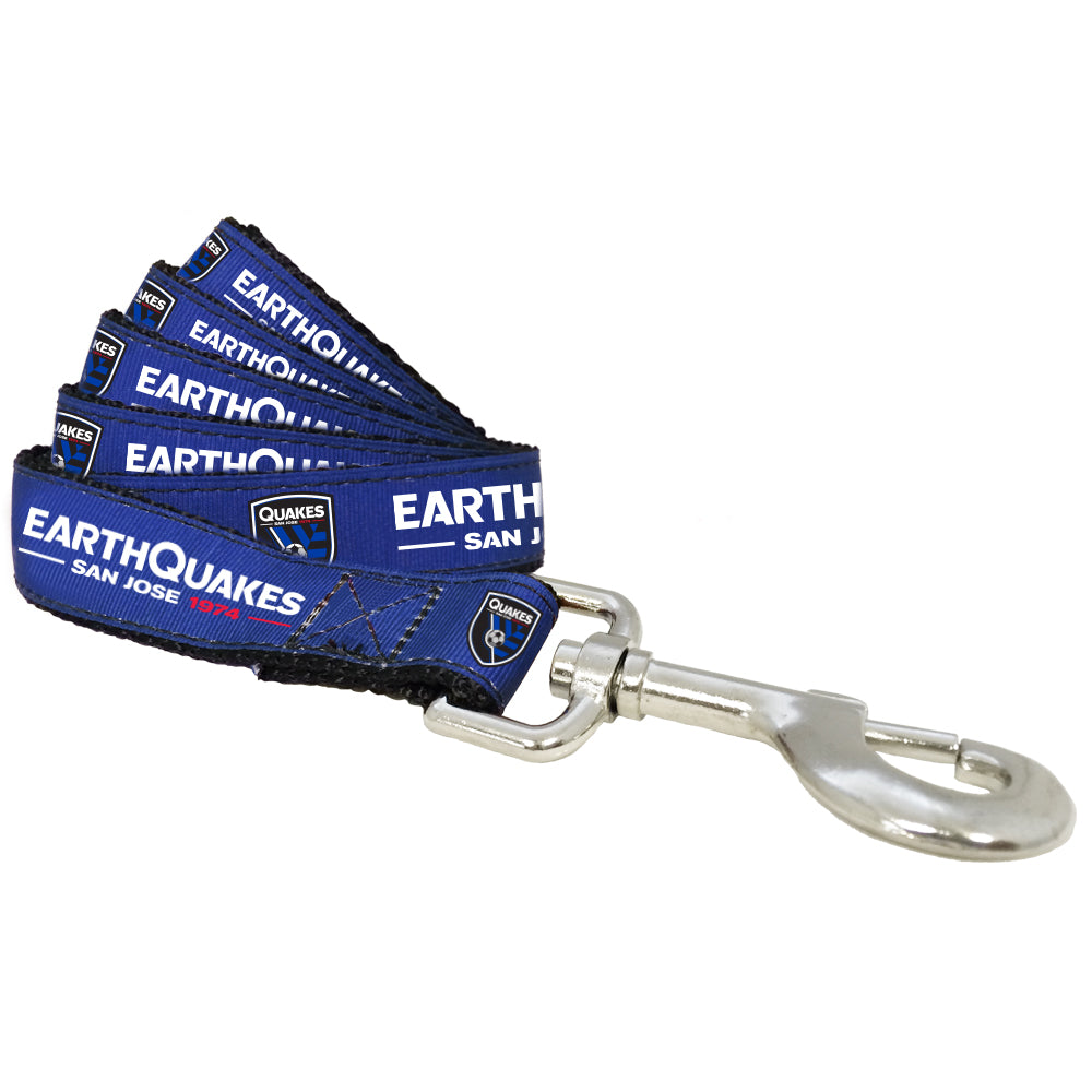 1" PET LEASH